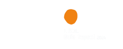 Logos Michelin Repsol 25